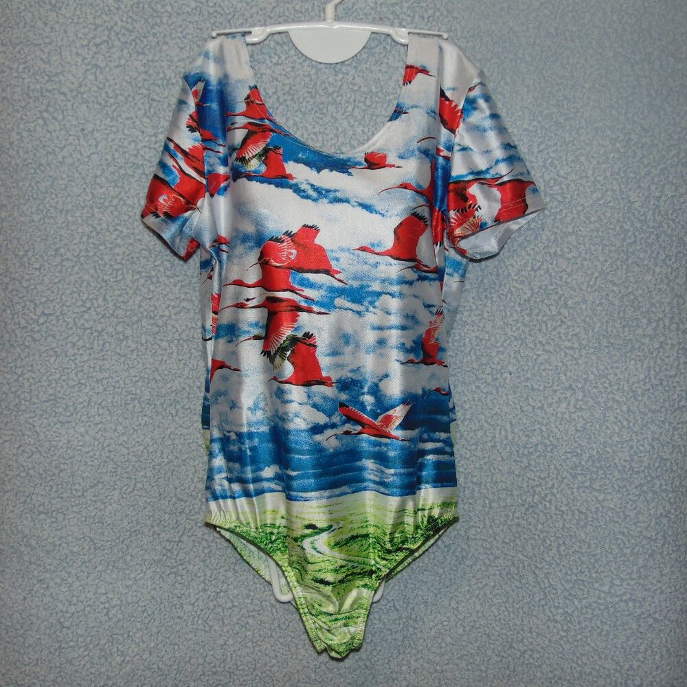 One-piece Short Sleeve Swimsuit or Leotard